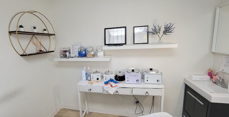 The Privatory cover image