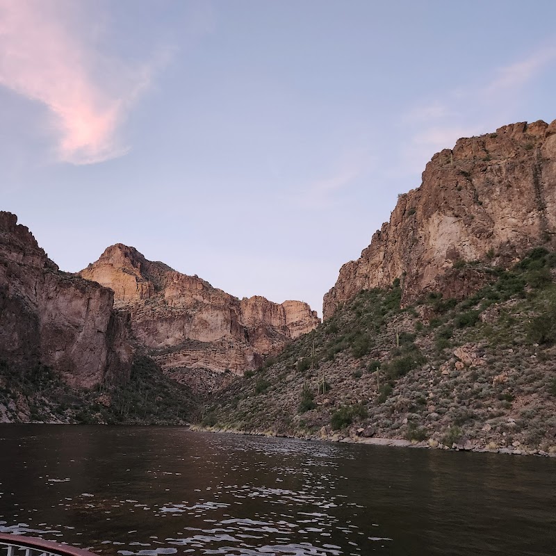The Dolly Steamboat cover image