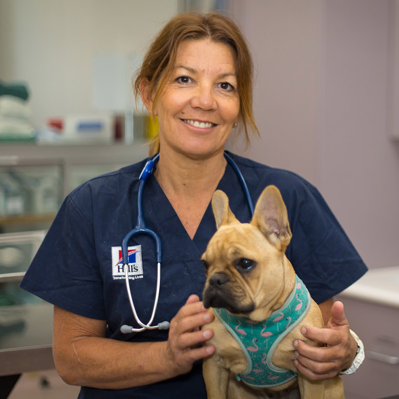 Brunker Road Veterinary Centre cover image