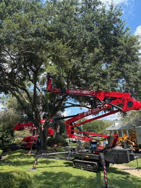 Bofinger's Tree Service cover image