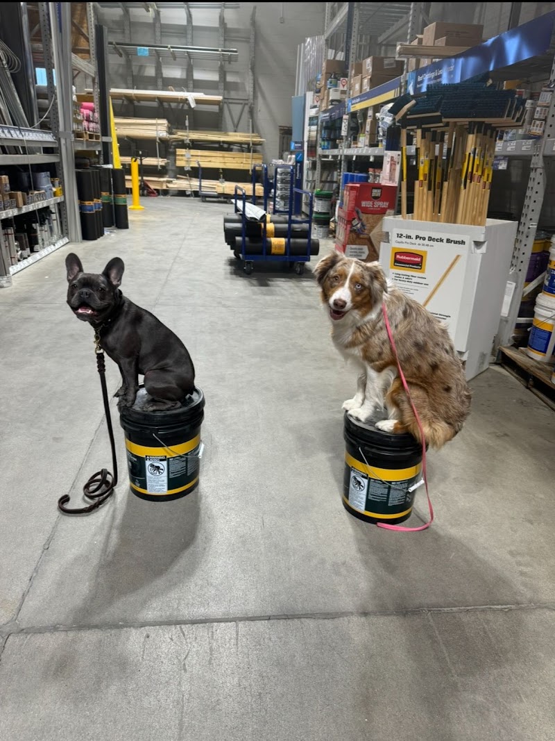 Glass City K9 LLC cover image