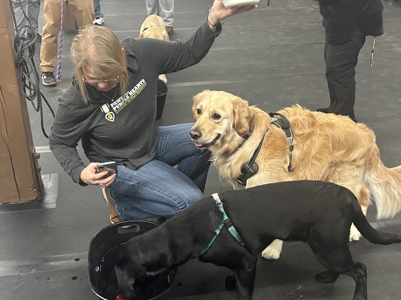 Paws for Purple Hearts Alaska cover image