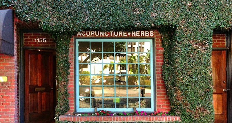 Robert Youngs Acupuncture cover image