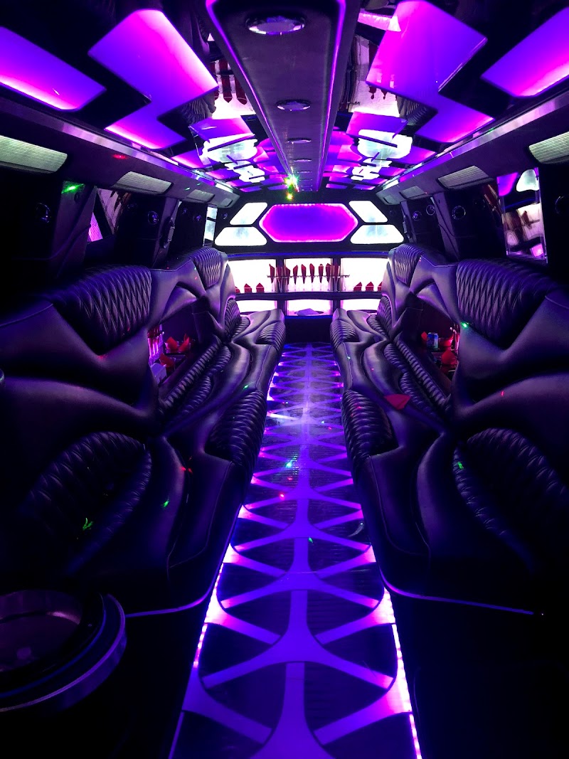 Deluxe Limousine & Transportation of The Woodlands cover image