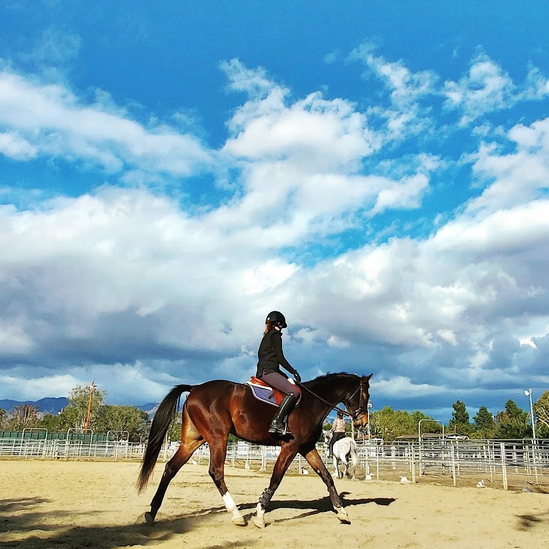 Lincourt Stables cover image