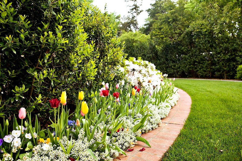 Southern Botanical Landscaping cover image