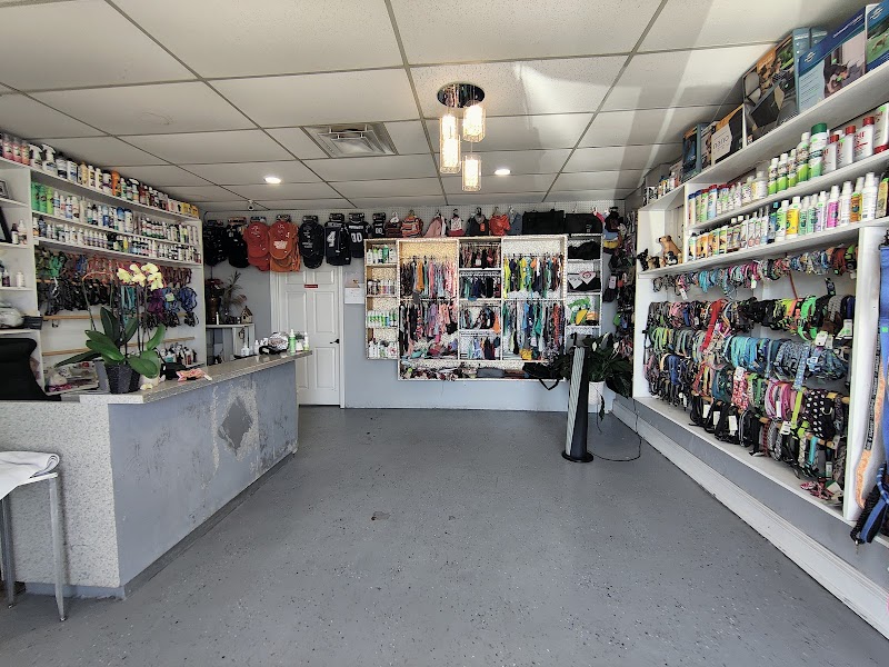 The Dog House - Corpus Christi cover image