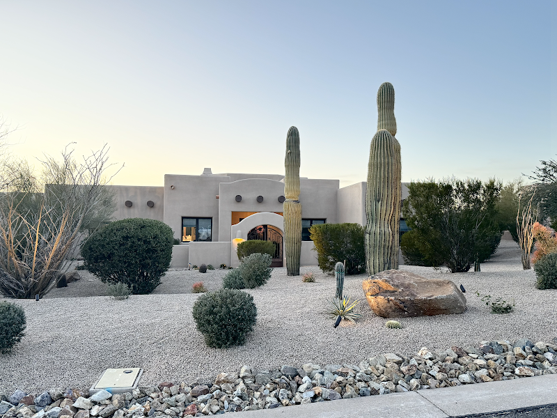 The Desert Root cover image