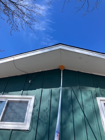 Greenix Pest Control cover image