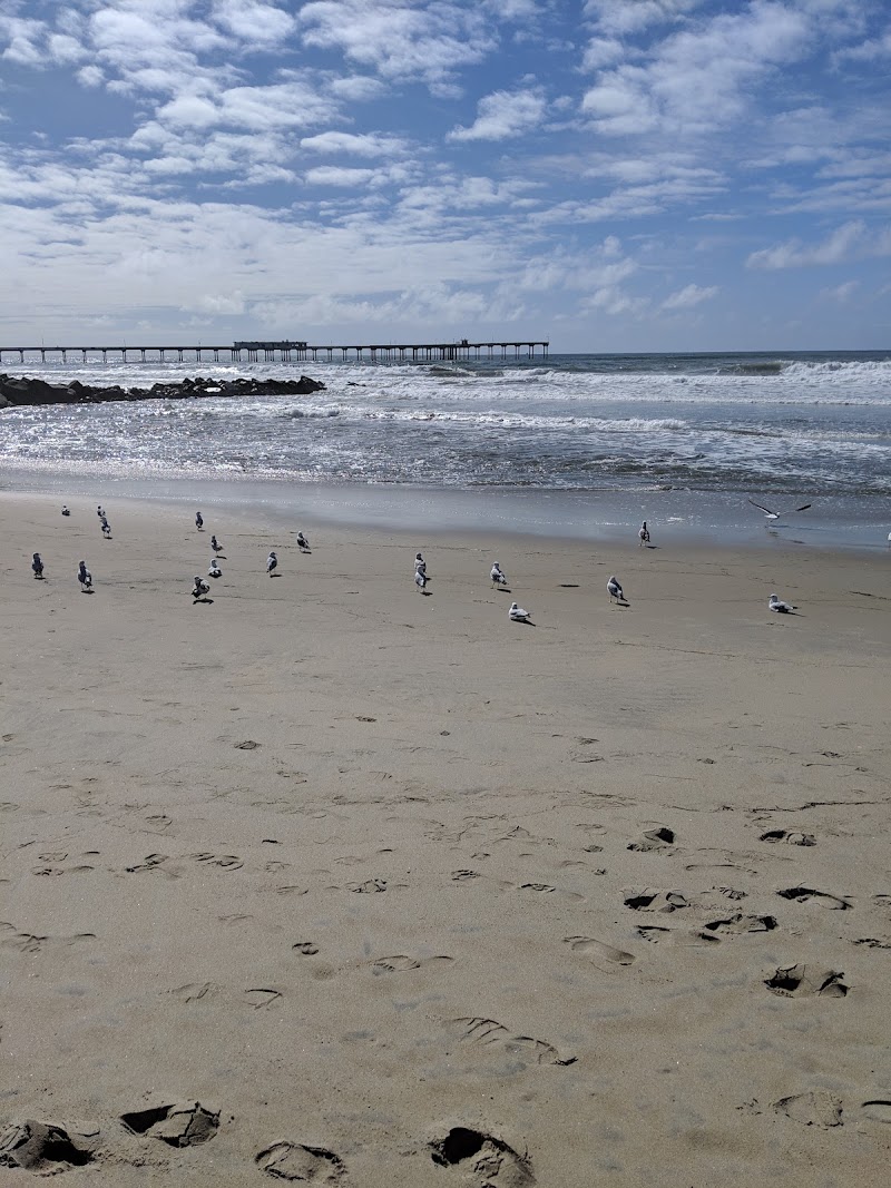Ocean Beach Recreation Center cover image
