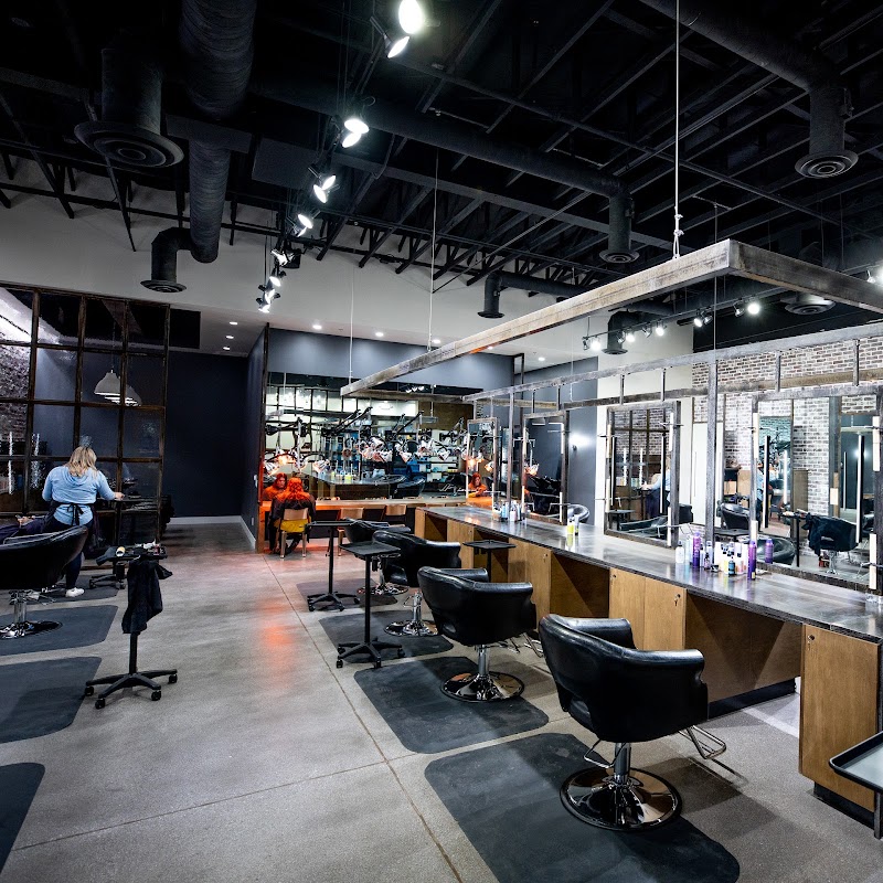 The Hair Standard cover image