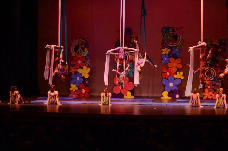 The Dance Shoppe cover image