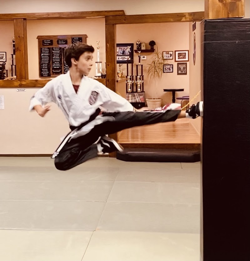 Mountain Eagle Karate Academy cover image