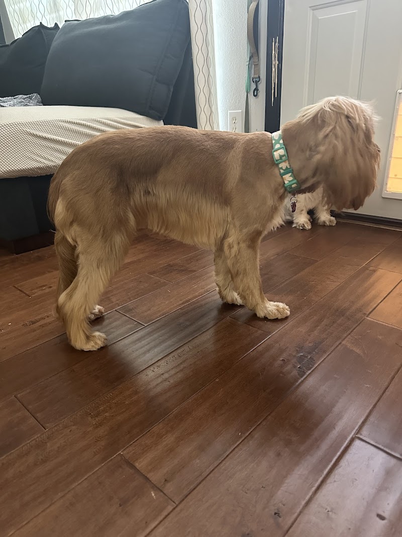 petbar Boutique - Houston (Bellaire) cover image