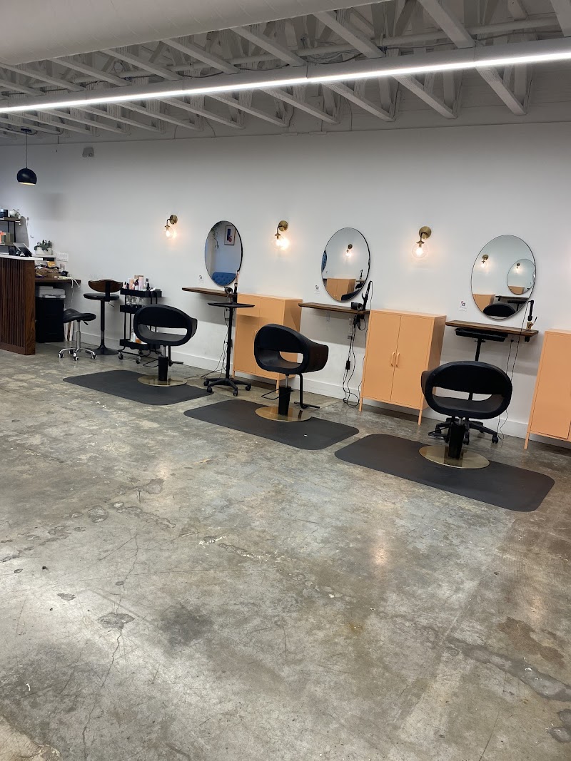 Salon Atlas cover image