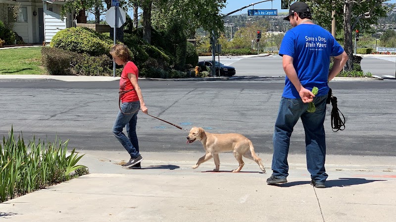 Falco Dog Training OC cover image