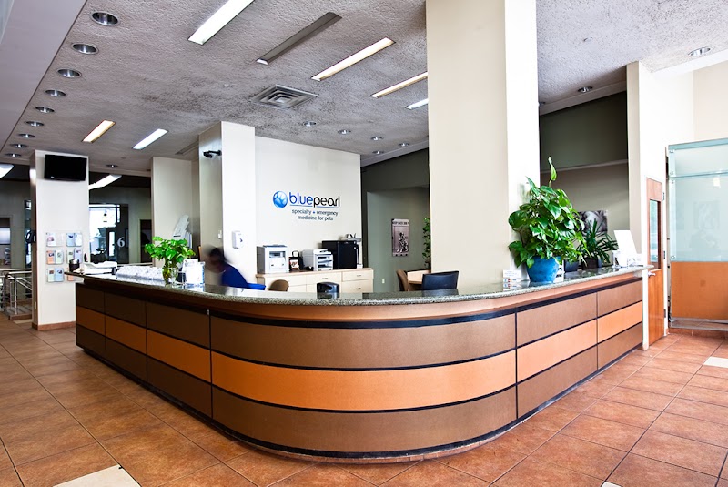 BluePearl Pet Hospital cover image