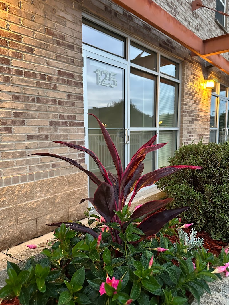 Luxe + Lulu Aesthetics cover image