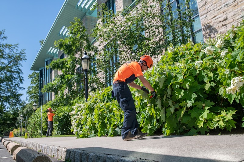 SavATree cover image