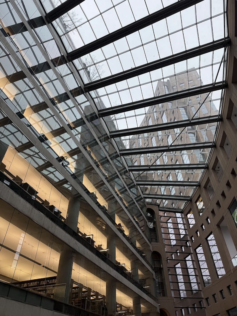 Toonie Tours Vancouver | Free Walking Tours, Private Tours, Bike Tours, Art, Beer & Coffee Tours cover image