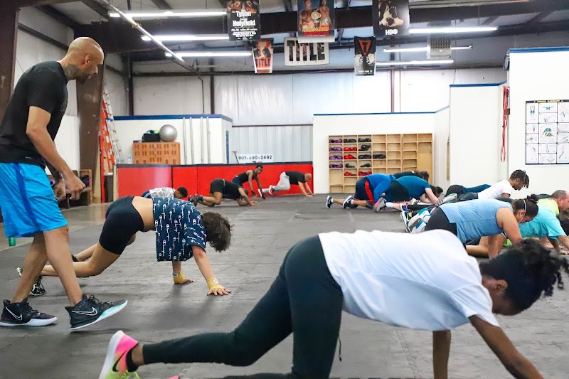 Bots Boxing cover image