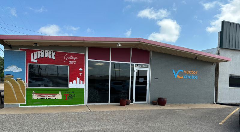 Vector Choice cover image