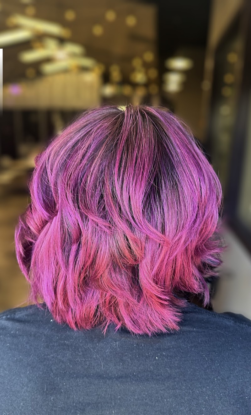 Sector7 Salon cover image