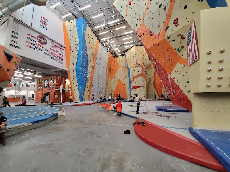 Central Rock Gym cover image