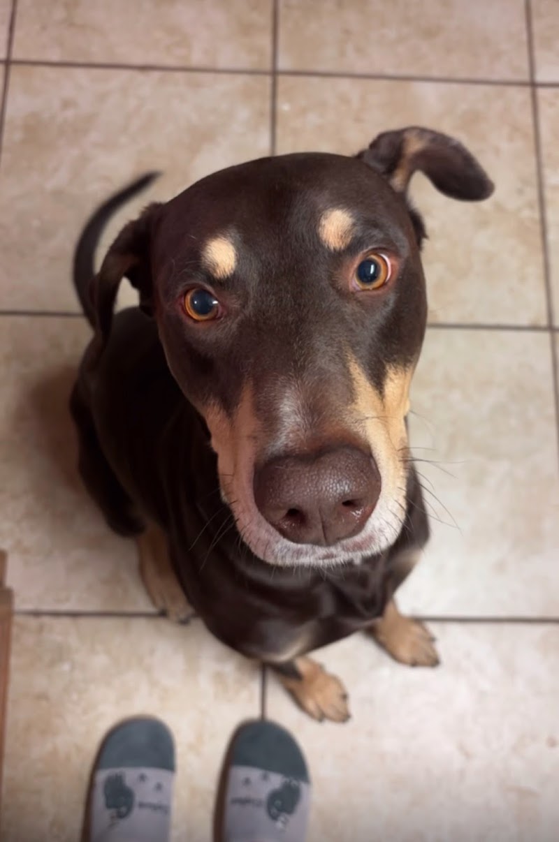 First Command Financial Advisor - Jordan Nelson, RICP® cover image