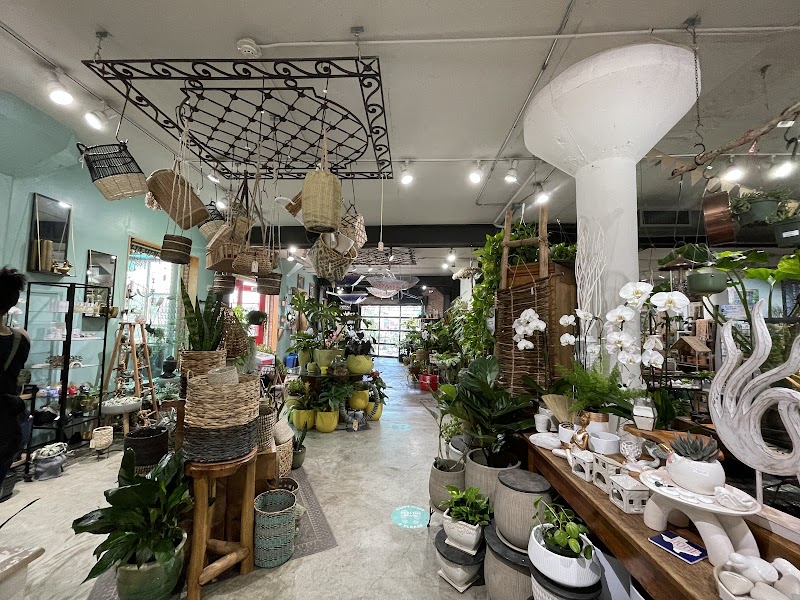 Ruibal's Plants of Texas cover image