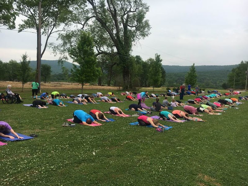 Studio 247 cover image