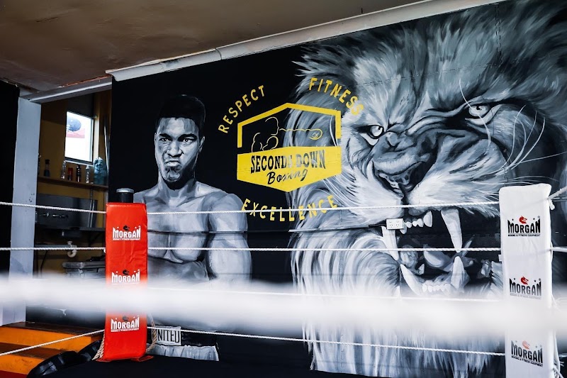 Seconds Down Boxing Wallsend cover image