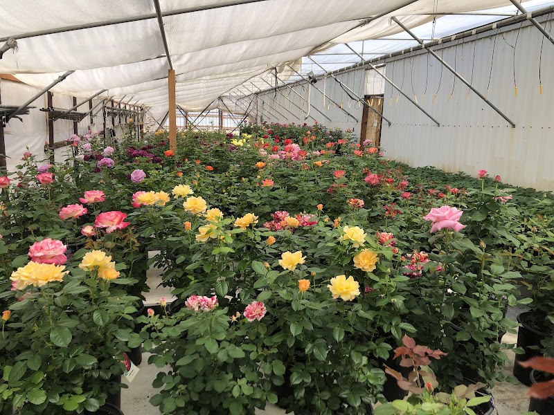 Agra Greenhouse’s cover image