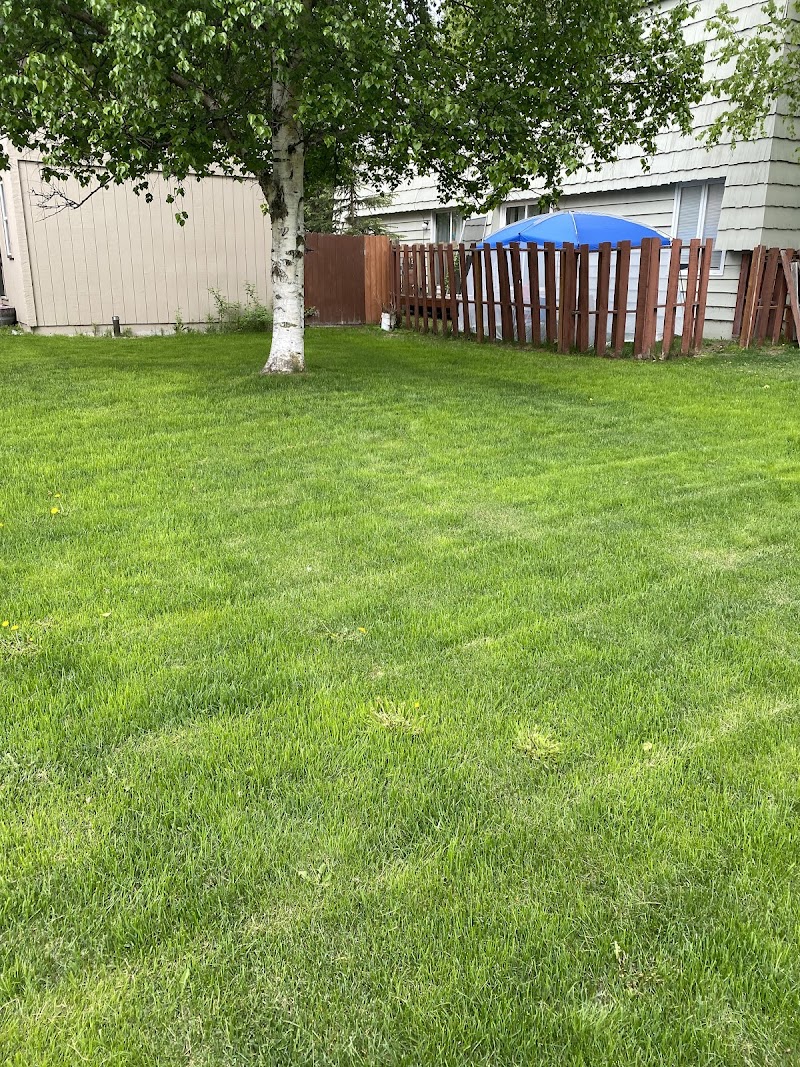 Yardigans AK cover image