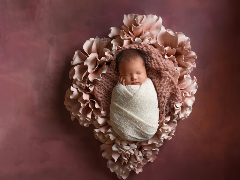 Edge Underwater Boudoir & Maternity Photography Sacramento cover image