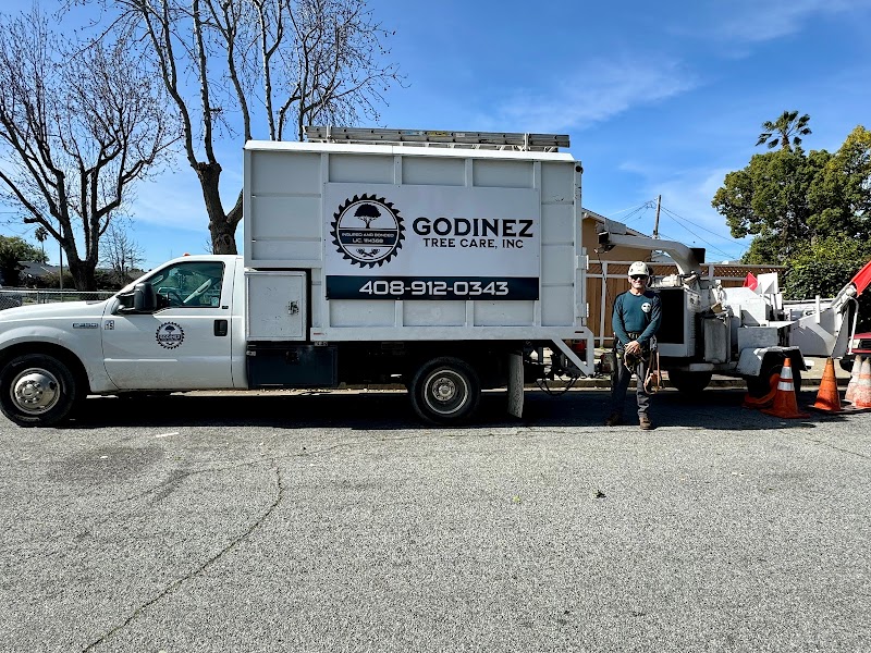 Godinez Tree Care, INC cover