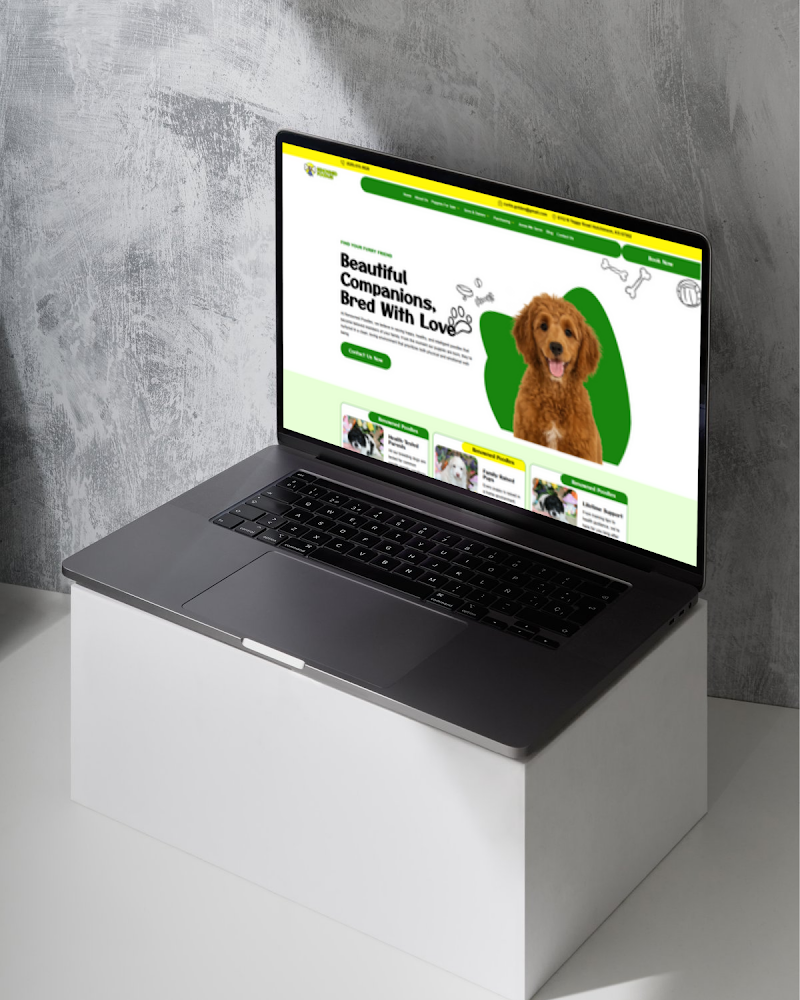 Creative 360 Pro | Web Design | PPC & SEO Agency cover image