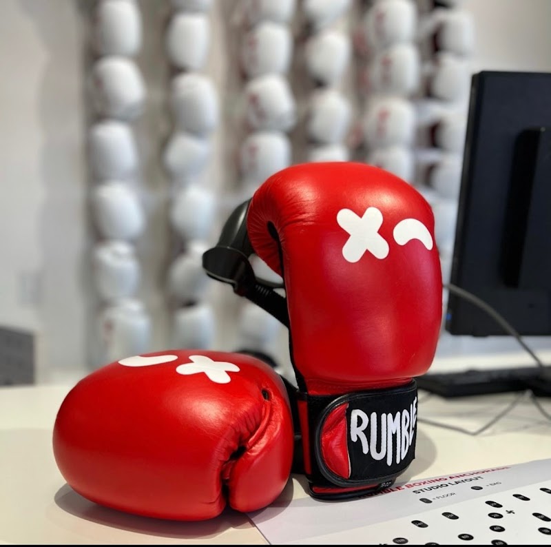 Rumble Boxing cover image