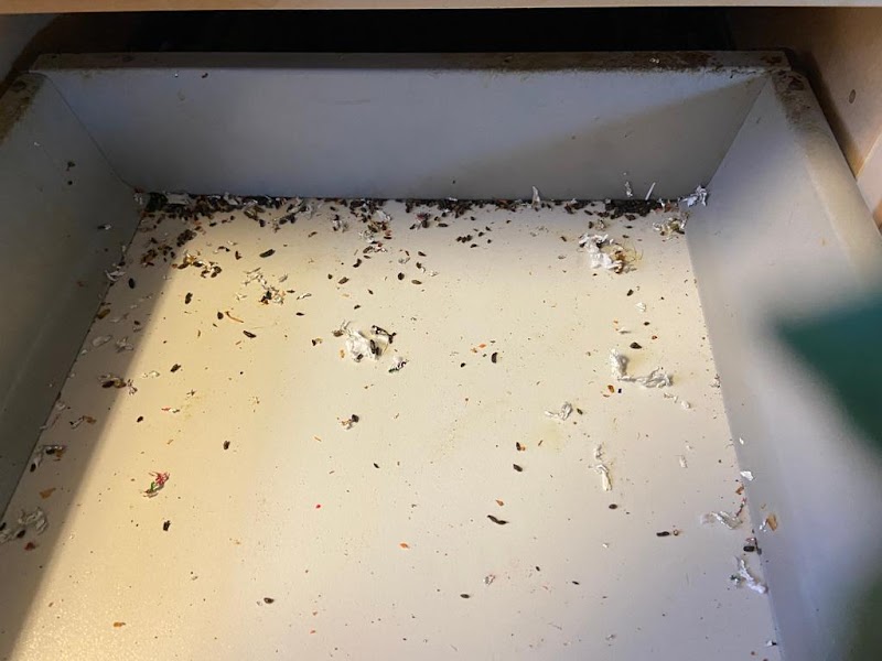 Provincial Pest Control Toronto cover image