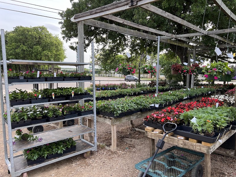 Chambers Nursery Garden Center cover image