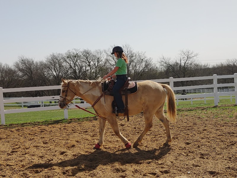 Lake Trail Stables cover image