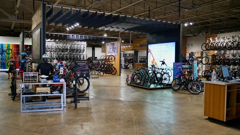 Trek Bicycle Lamar cover image