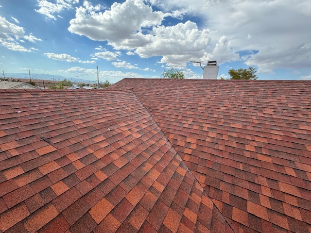 Desert Bloom Roofing cover image