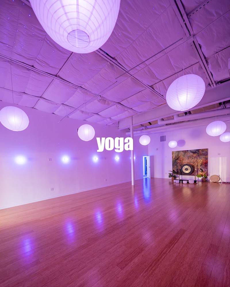 Lizard Yoga cover image