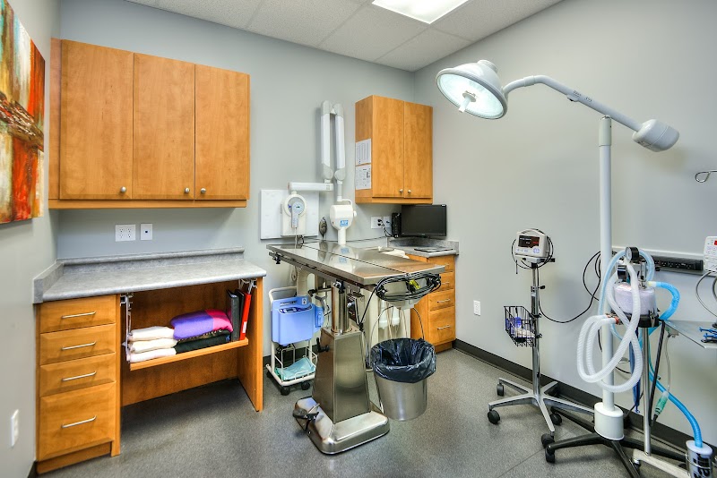 Close Veterinary Clinic cover image