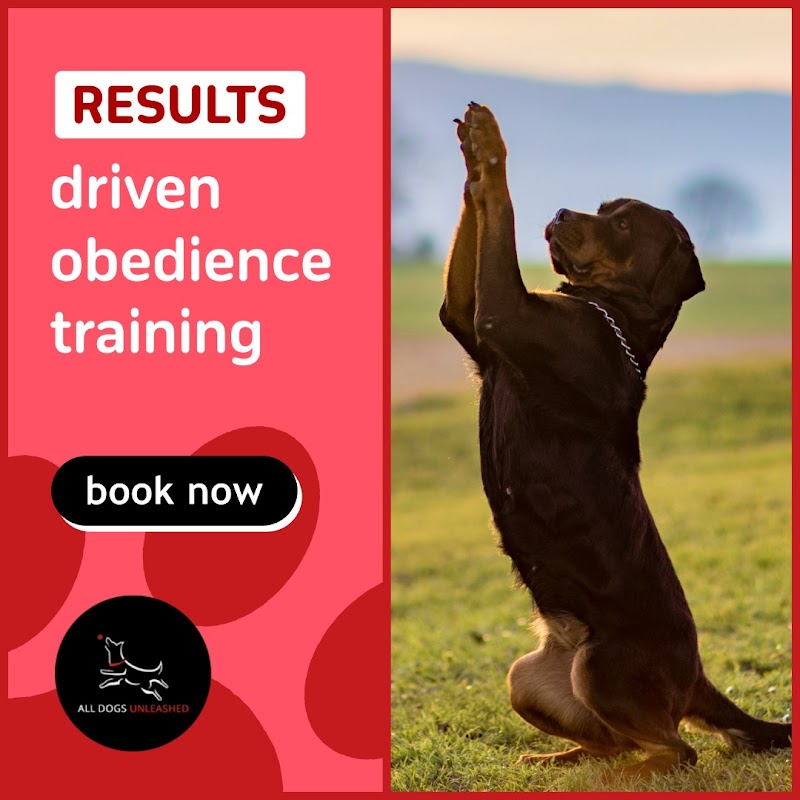 All Dogs Unleashed Dog Training Denver cover image
