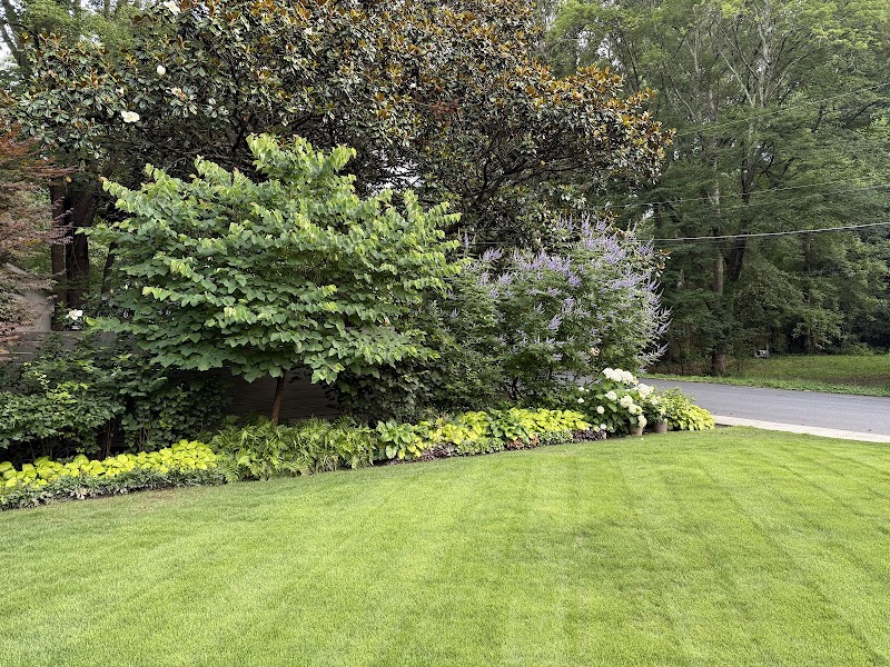 Beyond The Curb Landscaping cover image