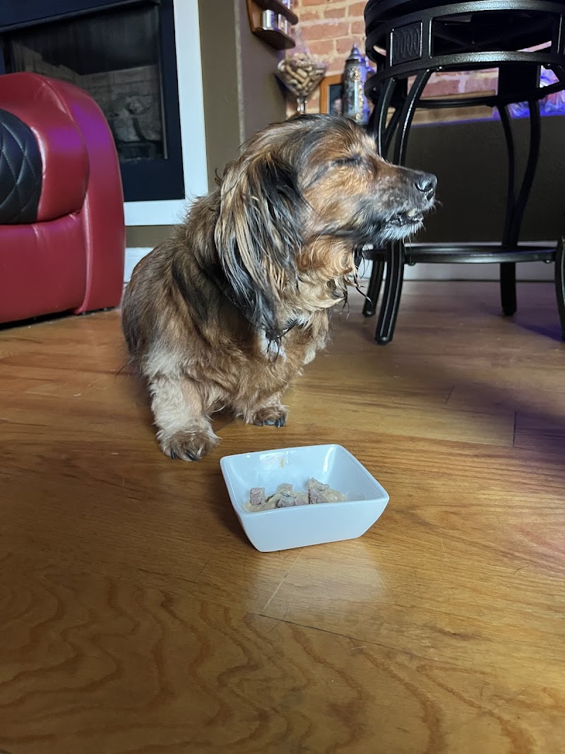 Heart + Paw cover image