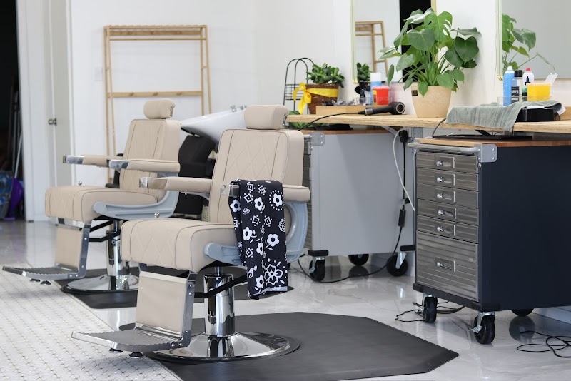 Studio by Sago cover image