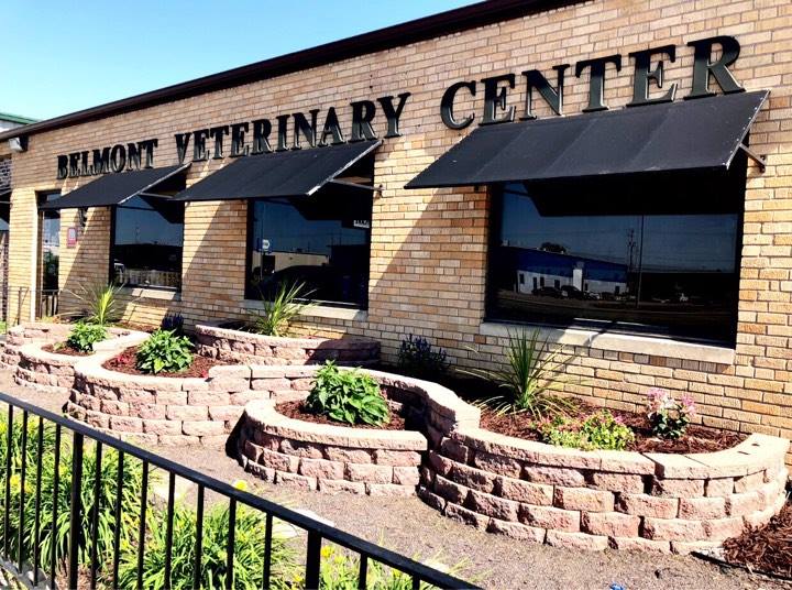 Belmont Veterinary Center cover image